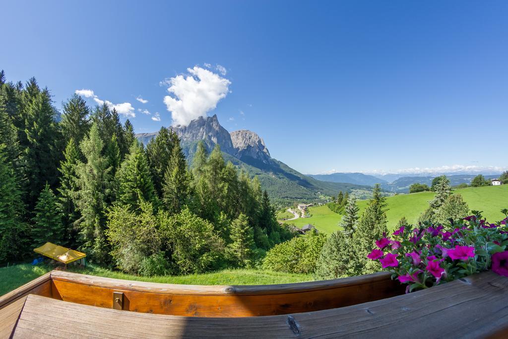 Hotel Plunger Castelrotto Dış mekan fotoğraf